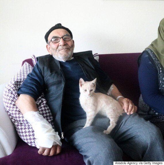 집에 화재가 난 후, 고양이를 껴안은 노인의 사연