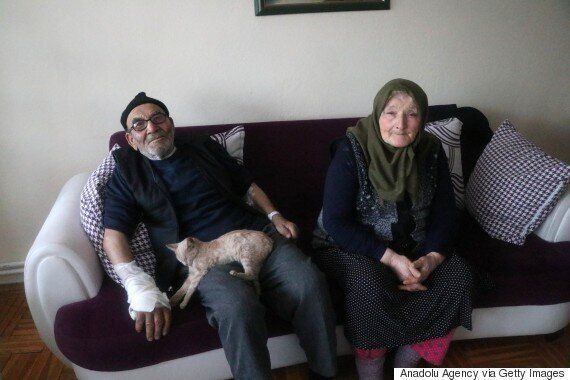 집에 화재가 난 후, 고양이를 껴안은 노인의 사연