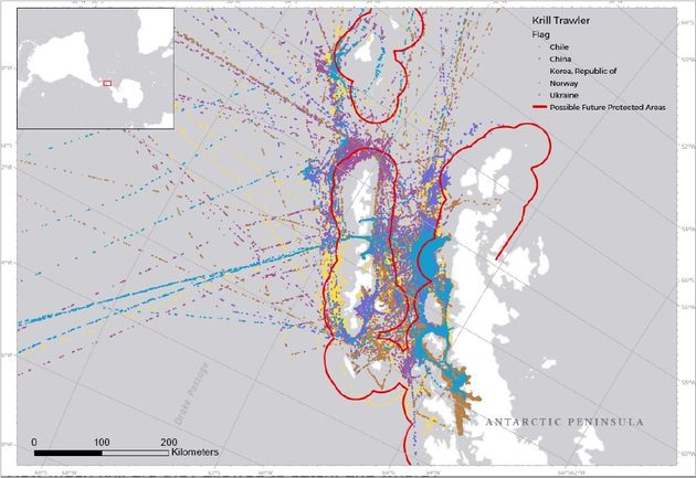 그린피스가 공개한 크릴 조업 어선들의 활동 구역. 대륙과 아주 가까운 곳까지 접근하는 것을 확인할 수 있다