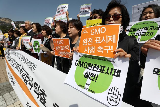 사진은 GMO완전표시제 시민청원단 시민들이 지난 4월12일 오전 서울 종로구 청와대 분수대 앞에서 'GMO완전표시제 국민청원' 기자회견을 하는 모습.