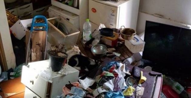 쓰레기 가득한 집에서 백골 상태의 개 사체 4구가 발견됐다