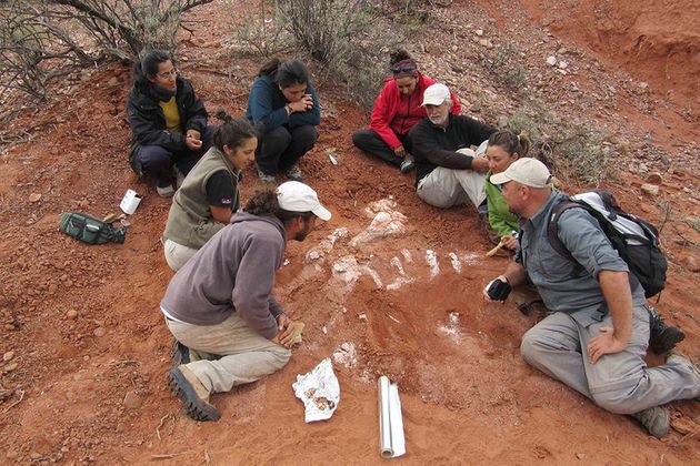아르헨티나 산후안국립대 연구팀이 새로운 공룡 화석을 발견하고 ‘인겐티아 프리마’라는 이름을 붙였다.