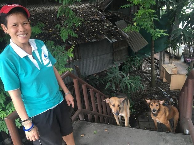 타이 북부 도시 치앙마이의 왓차이시품무에앙 주변에서 거리의 개들 사이에서 세 마리를 거둔 라(41)가 개들 앞에서 웃고 있다. 