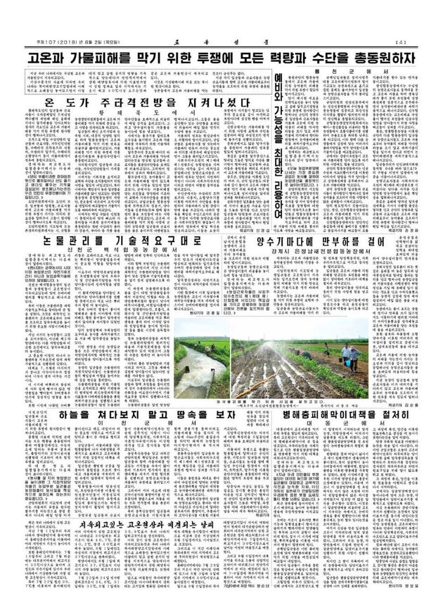 폭염, 가뭄 피해 방지에 모든 역량과 수단을 총동원하자고 호소한 2일치 노동신문 4면.
