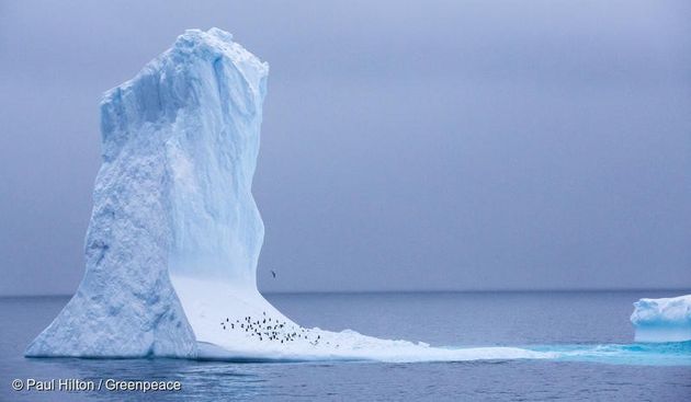 지구온난화로 인해 녹아내리는 남극 빙하