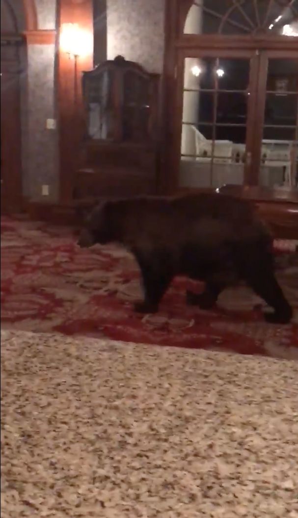 스티븐 킹 ‘샤이닝’의 모델이 된 호텔에 위험한 손님이 찾아왔다