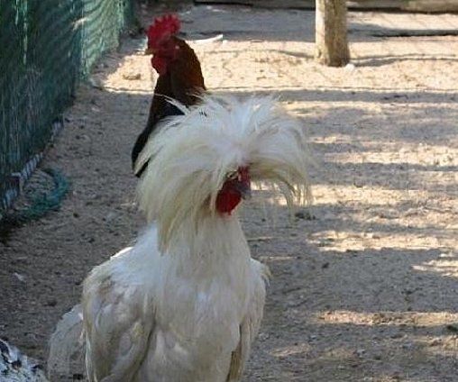 2000년대에 10대를 보냈다면 추억할 것들 7