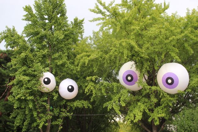 영국 출신 설치미술가 듀오 'Designs in Air'의 작품. 크기 2m에 달하는 이 대형 아이볼(eyeball)은 SBI저축은행의 '은행저축 프로젝트'의 일환으로 올림픽공원 은행나무에 9월 15일부터 10월 7일까지 설치된다. 시민들과 함께 동심으로 돌아가 은행나무의 고마움과 생명의 존귀함을 깨닫자는 의미다.