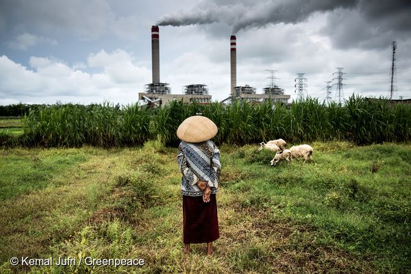 인도네시아의 한 석탄 발전소 앞에서 양치기가 양들을 돌보고 있다