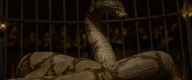 '신비한 동물사전2'에서 수현이 맡은 역할이 공개됐다