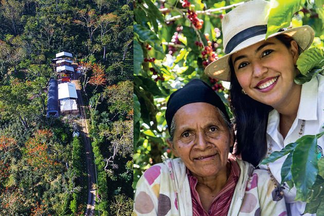 니카라과 라스 마리아스 농장의 커피는 니카라과 최초로 열대우림동맹 인증을 획득했다.