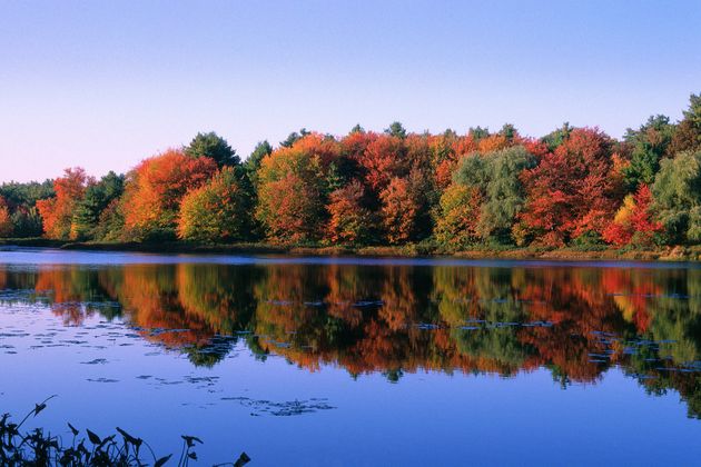 <strong></div>월든 호수(Walden Pond) 헨리 데이비드 소로가 머물었던 호수로 그의 저서인 '월든'을 따 이름 지어졌다.</strong>
