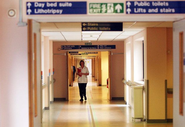 개에 물려 성기를 송두리째 잃은 남성이 혼수상태에 빠졌다