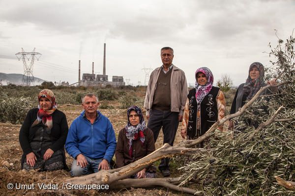 터키의 한 마을에서 주민들이 석탄 발전소 건설을 위해 불법 벌목된 6000여 그루의 나무를 증거로 보여주고 있다