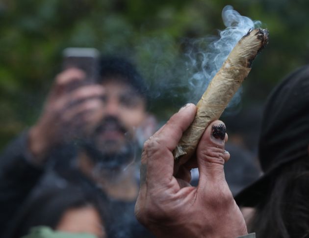 당신이 마리화나에 대해 알아야 할(그러나 겁나서 묻지 못한) 모든 것