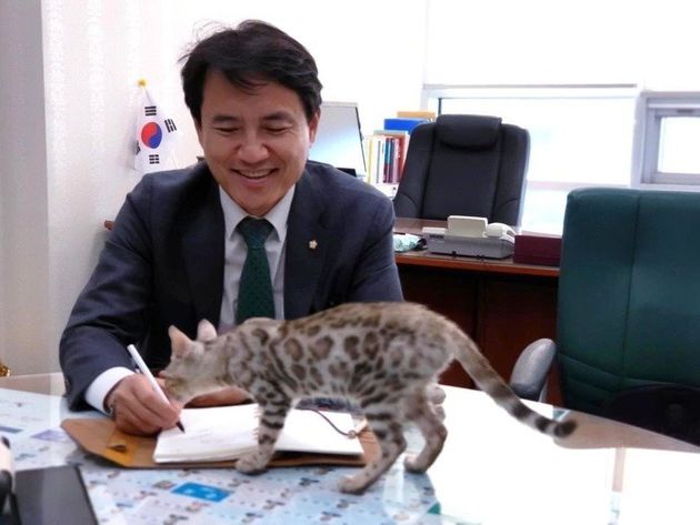국회 국정감사에 데려온 아기 벵갈고양이의 행방을 묻는 여론이 이어지자, 김 의원은 자신의 페이스북에 고양이와 함께 있는 사진을 올렸다.