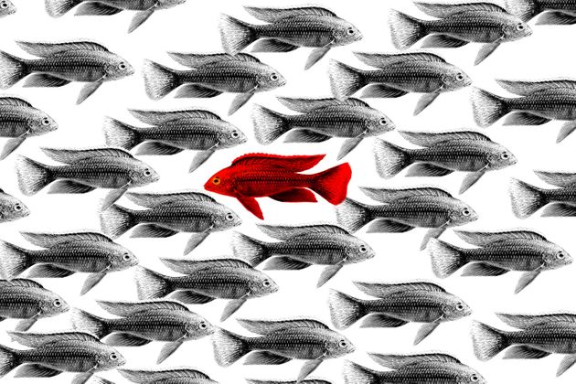 나는 섹스할 때 사지가 찢기는 고통을 느낀다. 대체 뭐가 문제일까?