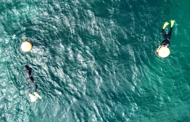 바다가 깨끗할 때인 2018년 9월 5일 제주시 구좌읍 김녕 해안에서 해녀들이 해산물을 채취하고 있다.