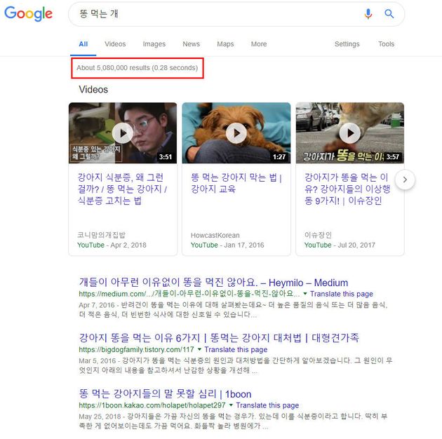 19년 2월 11일 현재 구글 '똥 먹는 개' 검색 결과 화면 캡처