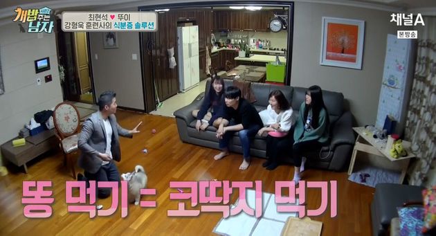 '똥 먹는 개'는 분노할 일이 아니다, 0.28초면 알 수 있다