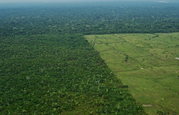 브라질 아마존 서부 지역의 숲 벌채를 보여주는 항공 사진