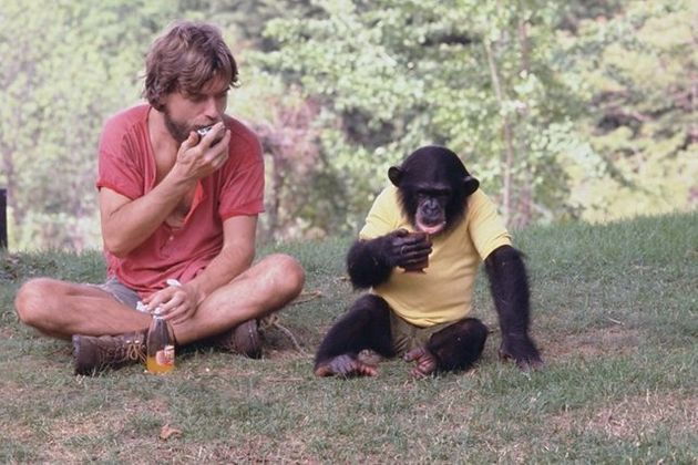 말하는 침팬지 ‘님 침스키’의 삶을 다룬 다큐멘터리 영화 '프로젝트 님'