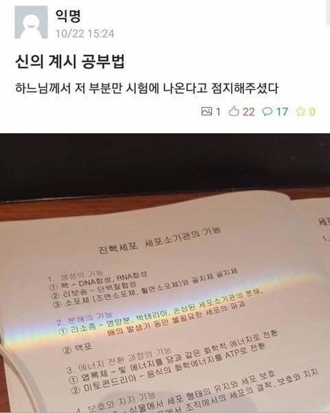 시험기간을 맞이한 대학생들이 공유한 자신만의 공부법(스압)