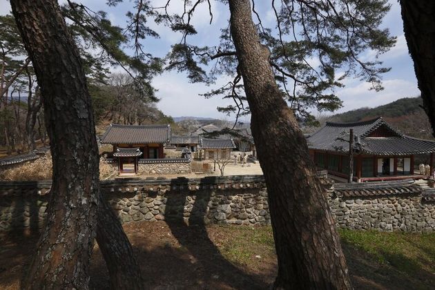 이번에 유네스코 세계유산에 등재된 서원중 건립연대가 가장 이른 경북 영주 소수서원. 1543년 조선 최초의 서원으로 세워졌다. 문화재청 제공