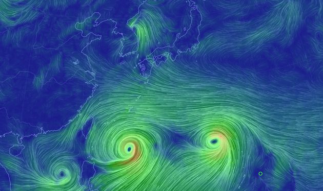 GFS의 기상 데이터 등을 기반으로 한 그래픽 영상. 한반도 아래에서 올라오는 두 개의 중형 태풍을 확인할 수 있다.