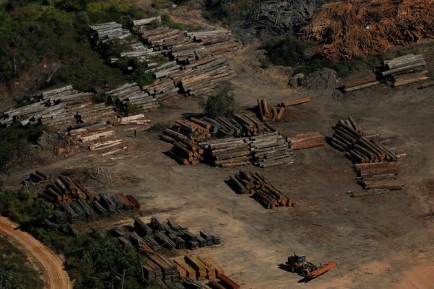 브라질 환경부 산하 IBAMA가 찾은 불법 벌목 현장 2018