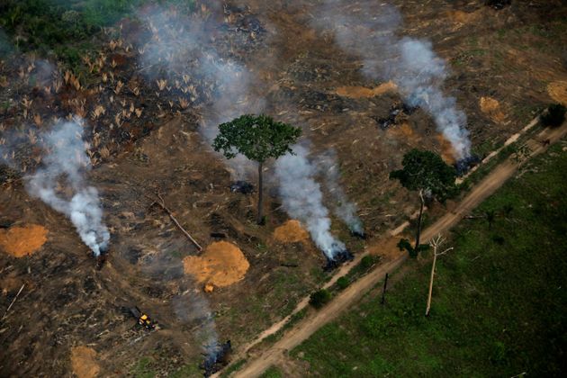 An aerial view shows a deforested plot of the Amazon near Porto Velho, Rondonia State, Brazil, September 17, 2019. REUTERS/Bruno Kelly