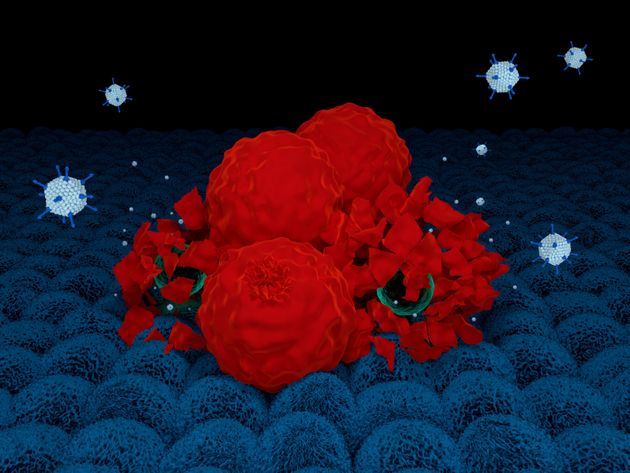 암세포를 파괴하는 아데노 바이러스의 모습을 표현한 3D 화상.