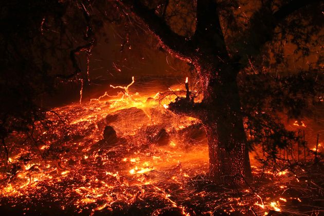 캘리포니아 게이서빌을 태우는 ‘킨케이드 파이어’. 2019년 10월 24일. 강풍의 힘을 입어 킨케이드 파이어는 몇 시간만에 7000에이커 이상을 태웠고 게이서빌 주민들은 대피해야 했다.