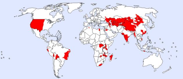 전 세계 페스트 발생지역 분포(2016년 3월 기준)