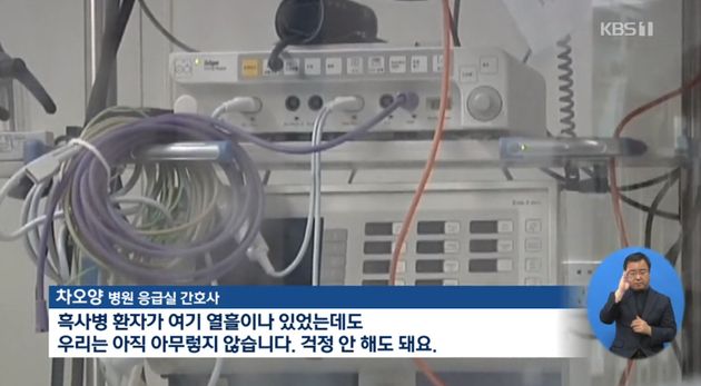KBS뉴스 보도화면 캡처
