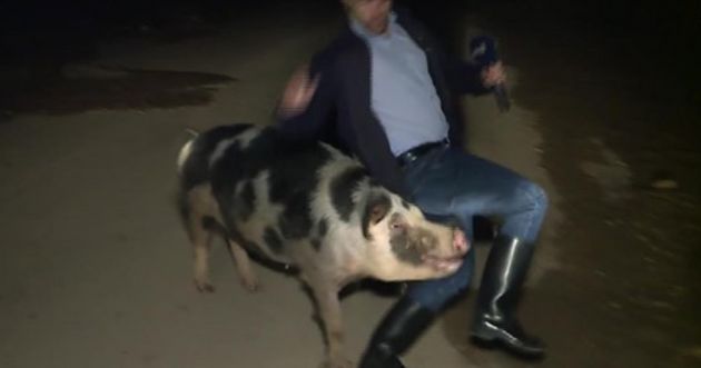 그리스 홍수 피해 생중계 도중 벌어진 역대급 방송사고 (영상)