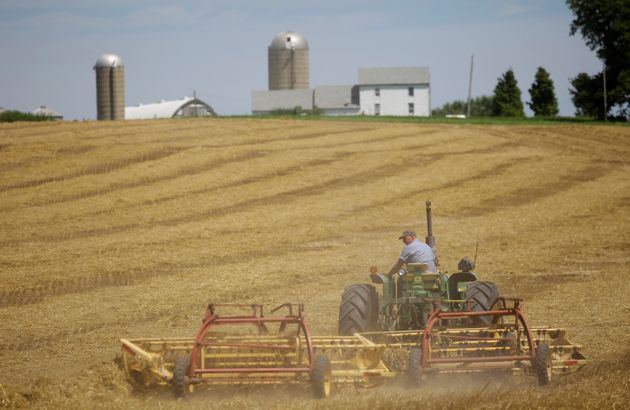Farmer Mark Klinger harvest his field at his farm in Pecatonica, Illinois, U.S., July 25, 2018. Photo taken July 25, 2018. REUTERS/Joshua Lott