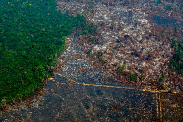 파괴된 아마존 우림