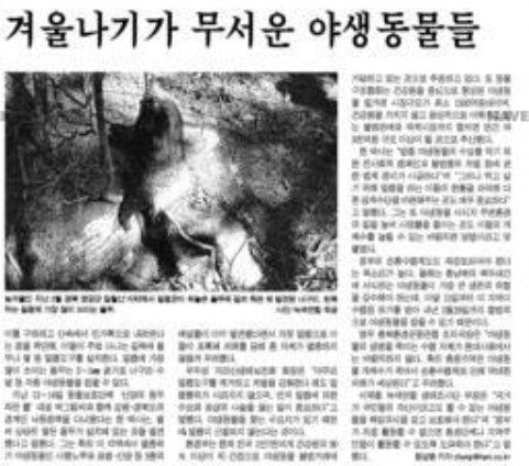 1990년대 기승을 무린 불법밀렵에 대한 한겨레 보도기사 캡처