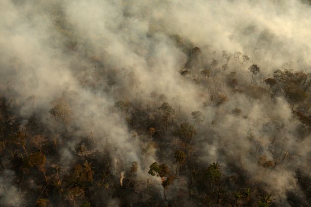 브라질 혼두니아주 아마존 우림에서 연기가 피어오른다. 2019/09/10