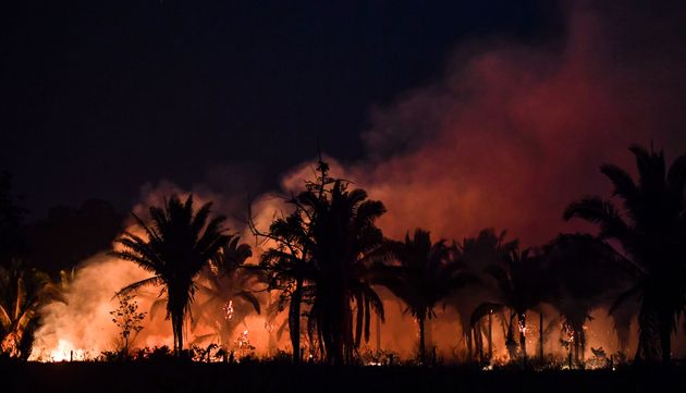 아마존 우림을 지나는 브라질 파라주 BR163 고속도로에서 본 화재 모습. BR230과 BR163은 세계에서 가장 큰 우림을 개발하고 파괴하는데 주요 역할을 했다. 2019/09/10
