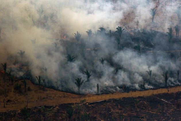 TOPSHOT - Aerial view showing smoke billowing from a patch of forest being cleared with fire in the surroundings of Boca do Acre, a city in Amazonas State, in the Amazon basin in northwestern Brazil, on August 24, 2019. - Brazil on August 25 deployed two Hercules C-130 aircraft to douse fires devouring parts of the Amazon rainforest. The latest official figures show 79,513 forest fires have been recorded in the country this year, the highest number of any year since 2013. More than half of those are in the massive Amazon basin. Experts say increased land clearing during the months-long dry season to make way for crops or grazing has aggravated the problem this year. (Photo by LULA SAMPAIO / AFP)        (Photo credit should read LULA SAMPAIO/AFP via Getty Images)