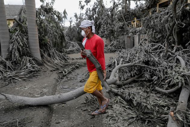 14일 따가이따이 딸리사이의 한 리조트에서 직원이 쓰러진 나무 잔해를 치우고 있다.