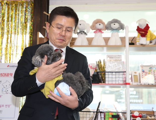 황교안 자유한국당 대표가 21일 오후 서울 마포구 반려견 동반카페 마포다방에서 반려동물 공약을 발표하며 강아지를 안아보고 있다