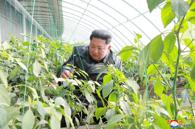 North Korean leader Kim Jong Un visits a vegetable greenhouse farm and tree nursery in Jungphyong area in Kyongsong County, North Hamgyong Province, North Korea, in this undated picture released by North Korea's Central News Agency (KCNA) on December 4, 2019.     KCNA via REUTERS    ATTENTION EDITORS - THIS IMAGE WAS PROVIDED BY A THIRD PARTY. REUTERS IS UNABLE TO INDEPENDENTLY VERIFY THIS IMAGE. NO THIRD PARTY SALES. SOUTH KOREA OUT. NO COMMERCIAL OR EDITORIAL SALES IN SOUTH KOREA.     TPX IMAGES OF THE DAY