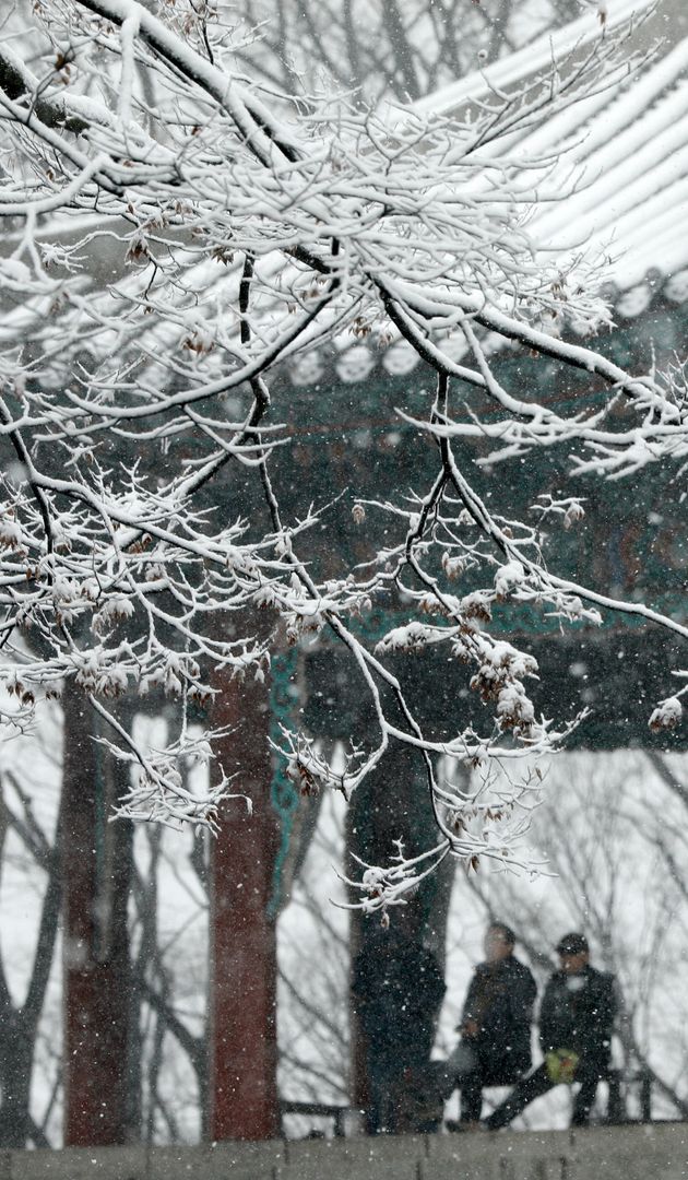 16일 서울 중구 남산 팔각정에 눈이 쌓여 있다.
