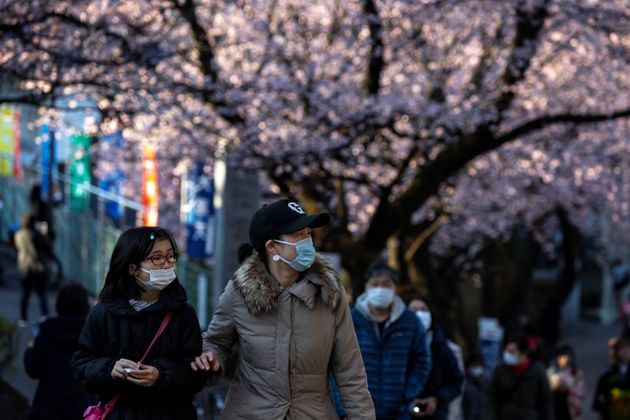 3월6일 사이타마현에서 시민들이 마스크를 끼고 벚꽃길을 걷고 있다