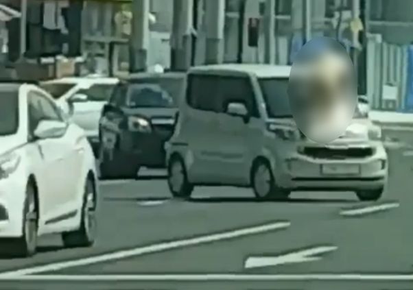 울산 남구 삼산동 농수산물도매시장 인근 도로에서 30대 남성 A씨가 나체로 차량에 올라타 폭력을 행사하고 있다.
