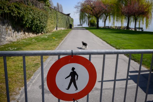 4월4일 '락다운' 상태의 스위스 제네바 시내의 한 공원에서 폐쇄된 정문 뒤로 고양이 한 마리가 혼자 걷고 있다.