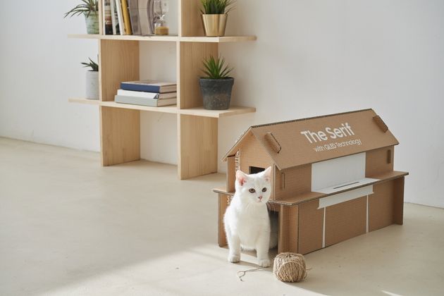 TV 제품 포장재로 만든 고양이 집